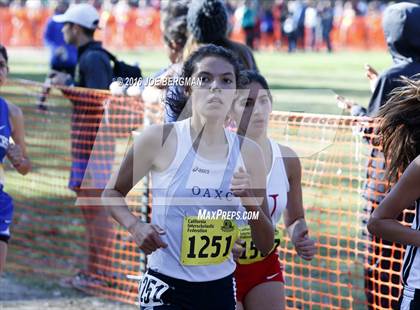 Thumbnail 3 in CIF State Cross County Championships (D5 Girls Race) photogallery.