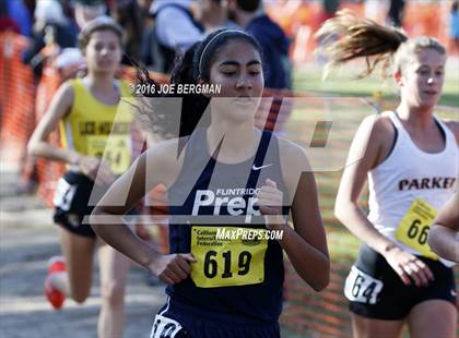 Thumbnail 3 in CIF State Cross County Championships (D5 Girls Race) photogallery.