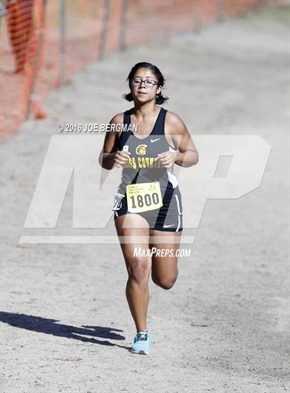 Thumbnail 2 in CIF State Cross County Championships (D5 Girls Race) photogallery.