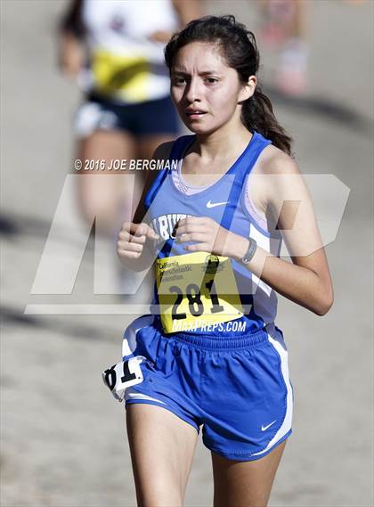 Thumbnail 1 in CIF State Cross County Championships (D5 Girls Race) photogallery.