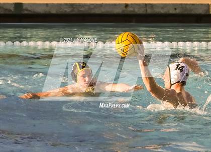 Thumbnail 3 in San Ramon Valley @ Amador Valley photogallery.