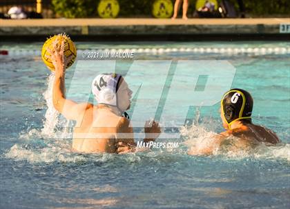 Thumbnail 3 in San Ramon Valley @ Amador Valley photogallery.