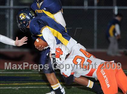 Thumbnail 1 in Woodland @ Inderkum photogallery.