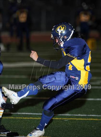 Thumbnail 1 in Woodland @ Inderkum photogallery.