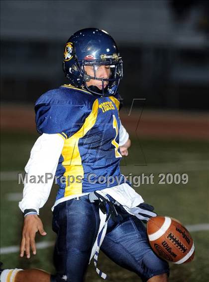 Thumbnail 2 in Woodland @ Inderkum photogallery.