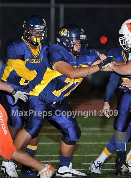 Thumbnail 1 in Woodland @ Inderkum photogallery.