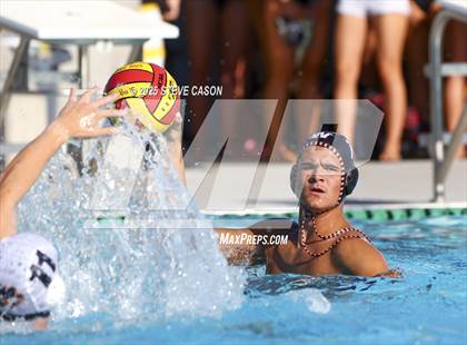 Thumbnail 3 in Roseville @ Whitney photogallery.