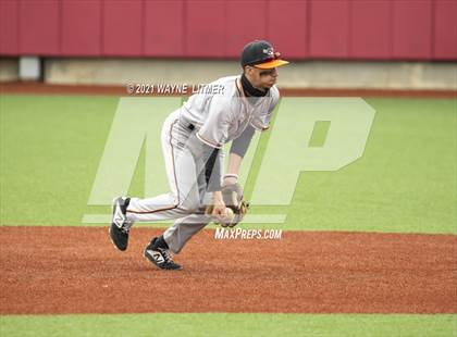 Thumbnail 3 in Ryle @ Beechwood photogallery.