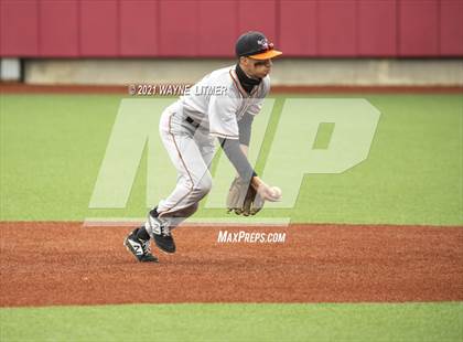 Thumbnail 1 in Ryle @ Beechwood photogallery.