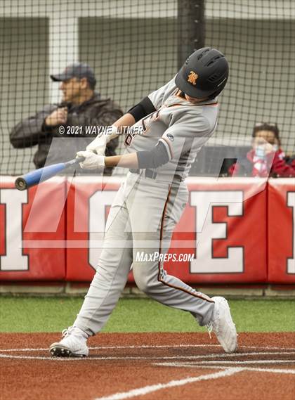 Thumbnail 3 in Ryle @ Beechwood photogallery.