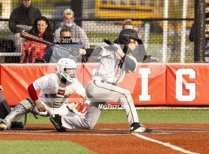Thumbnail 3 in Ryle @ Beechwood photogallery.