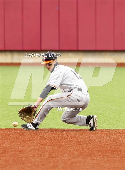 Thumbnail 2 in Ryle @ Beechwood photogallery.