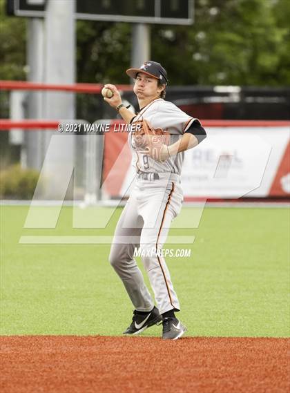 Thumbnail 3 in Ryle @ Beechwood photogallery.
