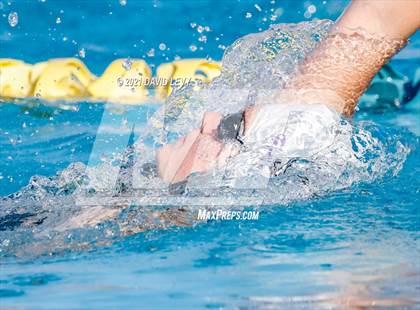 Thumbnail 2 in AIA D1 Swim Finals photogallery.