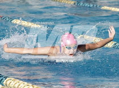 Thumbnail 1 in AIA D1 Swim Finals photogallery.