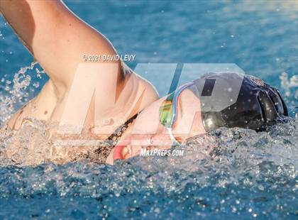 Thumbnail 3 in AIA D1 Swim Finals photogallery.