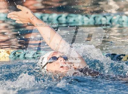 Thumbnail 3 in AIA D1 Swim Finals photogallery.