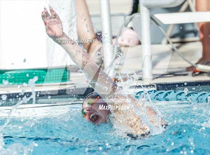 Thumbnail 1 in AIA D1 Swim Finals photogallery.
