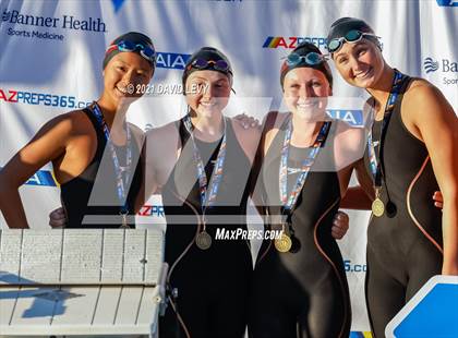Thumbnail 1 in AIA D1 Swim Finals photogallery.