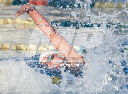 Thumbnail 3 in AIA D1 Swim Finals photogallery.