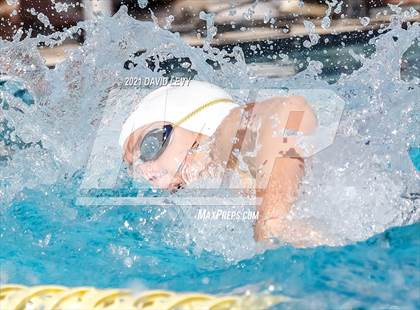 Thumbnail 1 in AIA D1 Swim Finals photogallery.