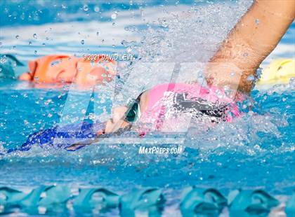 Thumbnail 1 in AIA D1 Swim Finals photogallery.