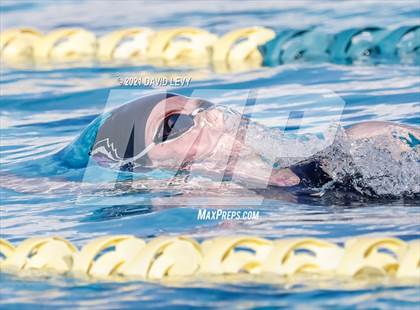 Thumbnail 2 in AIA D1 Swim Finals photogallery.