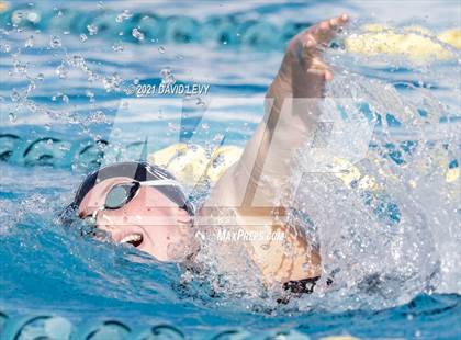Thumbnail 3 in AIA D1 Swim Finals photogallery.