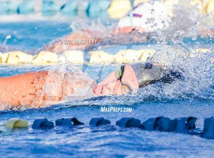Thumbnail 2 in AIA D1 Swim Finals photogallery.