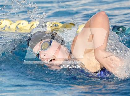 Thumbnail 1 in AIA D1 Swim Finals photogallery.