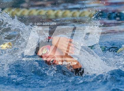 Thumbnail 1 in AIA D1 Swim Finals photogallery.