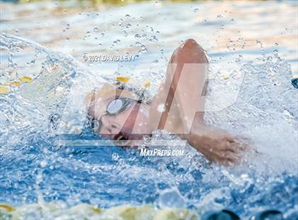 Thumbnail 3 in AIA D1 Swim Finals photogallery.