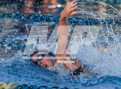 Thumbnail 1 in AIA D1 Swim Finals photogallery.