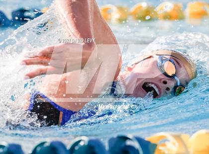 Thumbnail 1 in AIA D1 Swim Finals photogallery.
