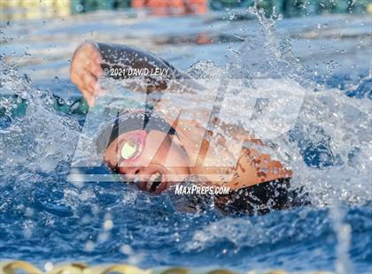 Thumbnail 2 in AIA D1 Swim Finals photogallery.