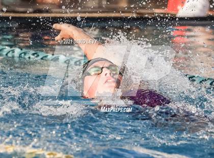 Thumbnail 2 in AIA D1 Swim Finals photogallery.