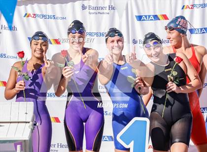 Thumbnail 1 in AIA D1 Swim Finals photogallery.