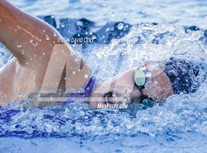 Thumbnail 3 in AIA D1 Swim Finals photogallery.