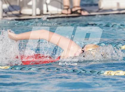 Thumbnail 3 in AIA D1 Swim Finals photogallery.