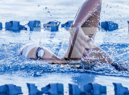 Thumbnail 2 in AIA D1 Swim Finals photogallery.