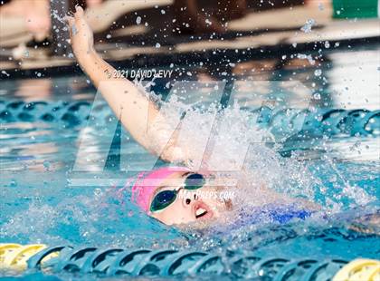 Thumbnail 3 in AIA D1 Swim Finals photogallery.