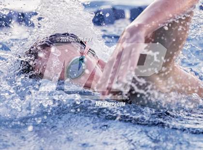 Thumbnail 1 in AIA D1 Swim Finals photogallery.