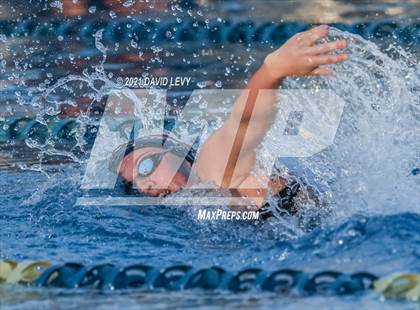 Thumbnail 3 in AIA D1 Swim Finals photogallery.