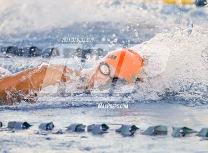 Thumbnail 1 in AIA D1 Swim Finals photogallery.
