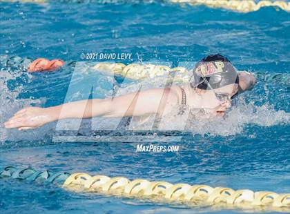 Thumbnail 2 in AIA D1 Swim Finals photogallery.