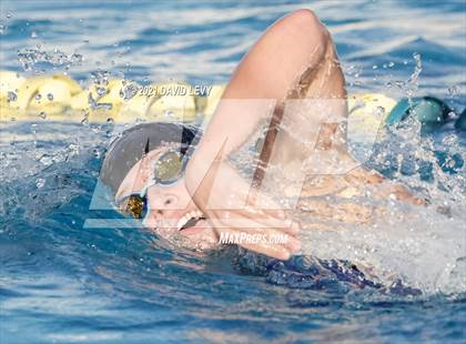 Thumbnail 2 in AIA D1 Swim Finals photogallery.