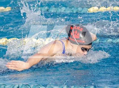 Thumbnail 1 in AIA D1 Swim Finals photogallery.