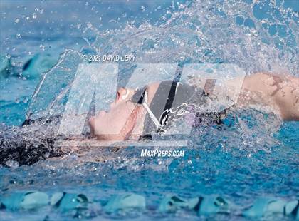 Thumbnail 1 in AIA D1 Swim Finals photogallery.