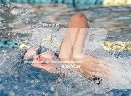 Thumbnail 3 in AIA D1 Swim Finals photogallery.