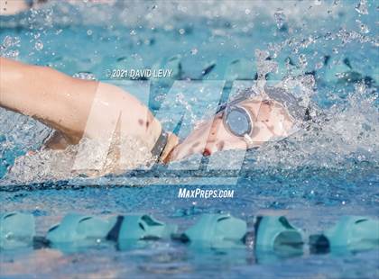 Thumbnail 2 in AIA D1 Swim Finals photogallery.
